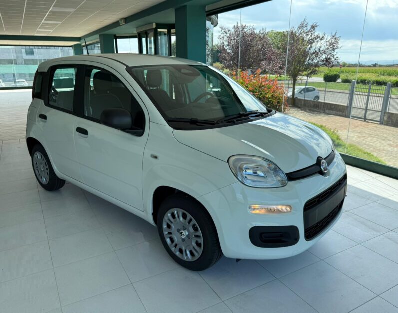 
								Fiat Panda – Panda – full									