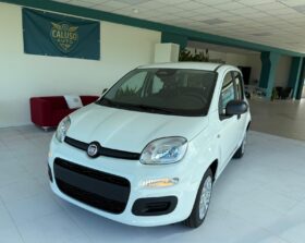 Fiat Panda – Panda –