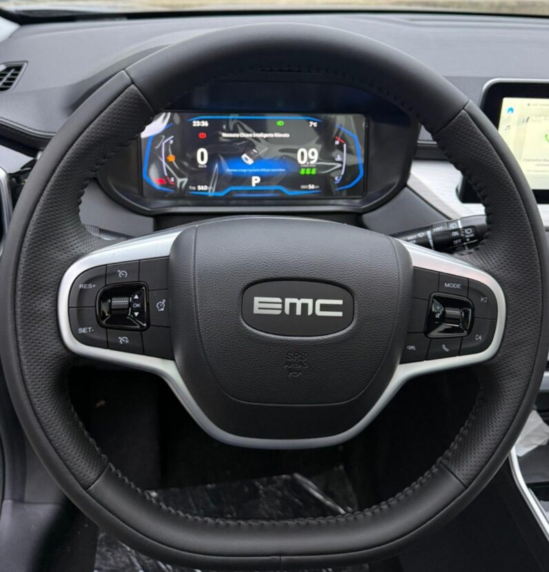 
								EMC SEI A/T BENZ full									