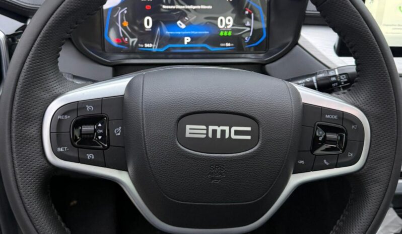 
								EMC SEI A/T BENZ full									