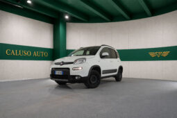 PANDA 4×4
