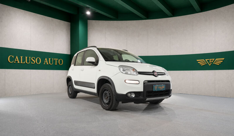 
								PANDA 4×4 full									