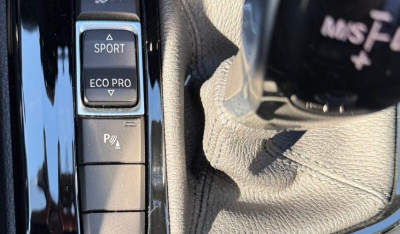 
								BMW X2  F39 118i M-sport X auto full									