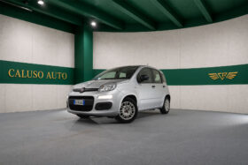 FIAT PANDA EASY PLUS