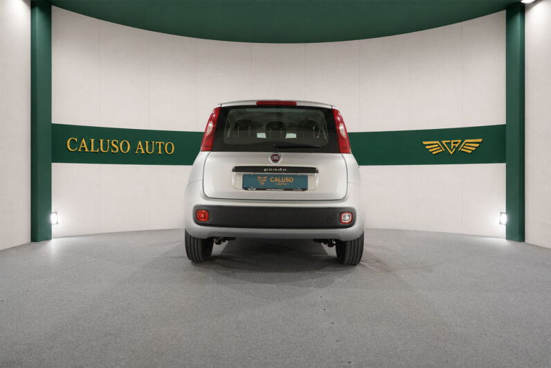 
								FIAT PANDA EASY PLUS full									