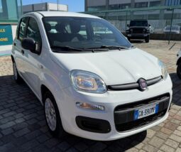 FIAT PANDA EASY PLUS