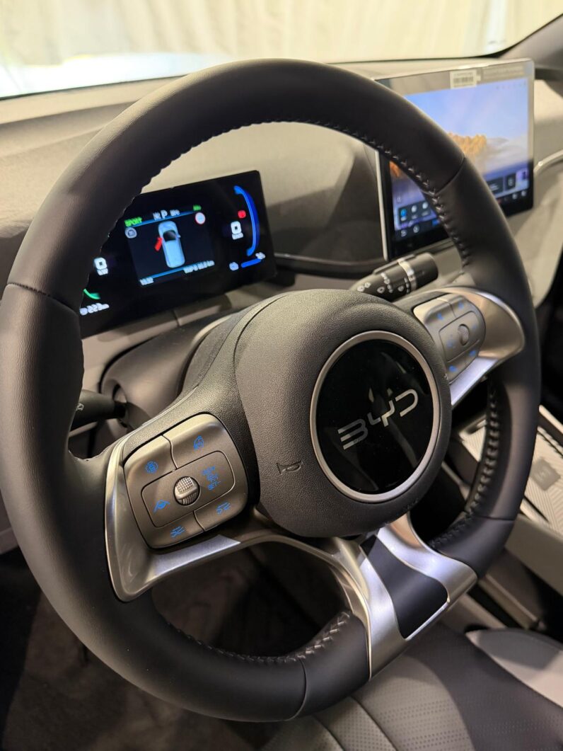 
								BYD DOLPHIN SURF 43,2 kWh BOOST – 5 POSTI full									