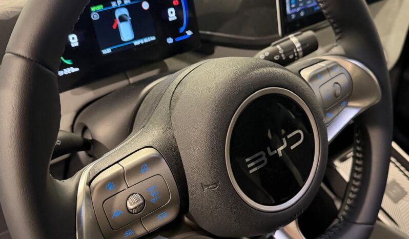 
								BYD DOLPHIN SURF 43,2 kWh BOOST – 5 POSTI full									