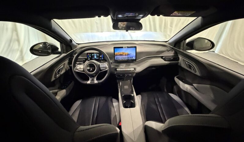 
								BYD DOLPHIN SURF 43,2 kWh BOOST – 5 POSTI full									