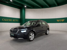 ŠKODA KAMIQ 1.0 TSI 110 CV DSG MONTE CARLO