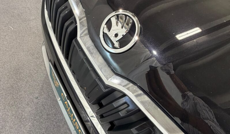 
								ŠKODA KAMIQ 1.0 TSI 110 CV DSG MONTE CARLO full									