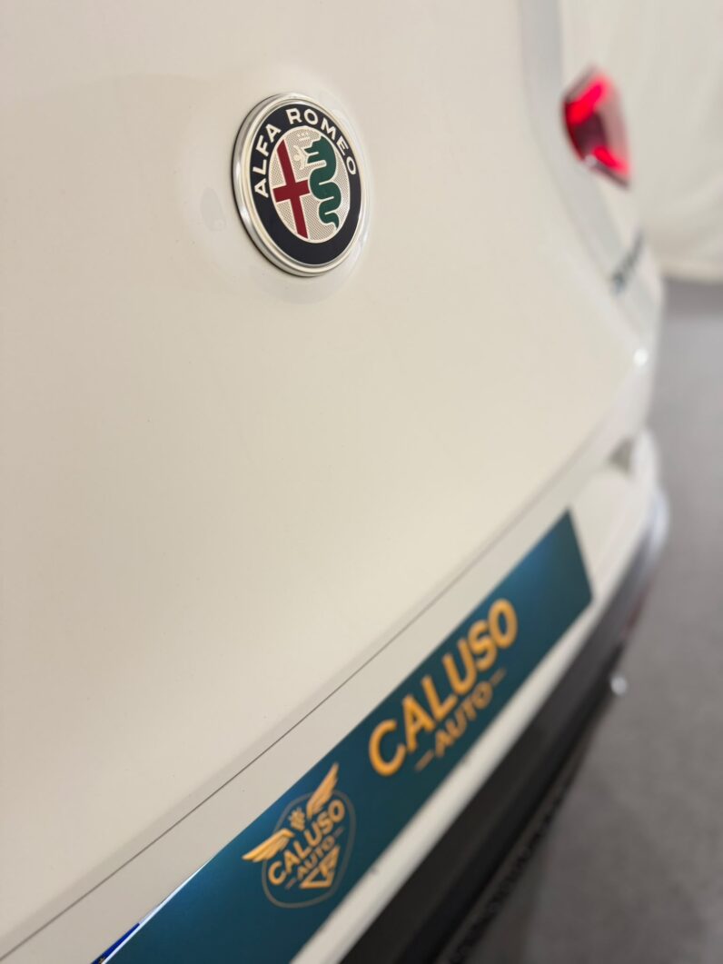 
								ALFA ROMEO STELVIO 2.2 TURBO DIESEL 210 CV Q4 AT8 SUPER – FULL OPTIONAL full									